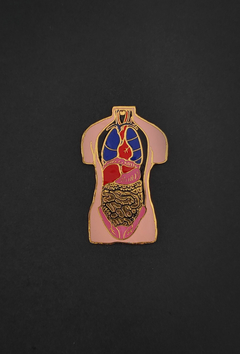 Pin Anatomía - Víceras - comprar online