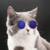 Óculos Pet para Cães e Gatos M - Dourado com Lente Azul Escuro - comprar online