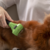 Rasqueadeira Furminator para Cães de Porte Pequeno de Pelo Curto - S - loja online