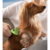 Rasqueadeira Furminator para Cães de Porte Pequeno de Pelo Longos - S - comprar online