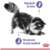 Ração Royal Canin Sache Feline Care Appetite Control para Gatos 85g - loja online