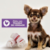 Osso Dingo para Cães Dental Sticks 90g - loja online