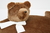 Tapete Urso Bear Pata Chic - Caramelo Queimado - comprar online