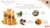 Pet Head Spray Ditch the Dirt 300ml - Orange with Aloe Vera - comprar online