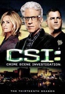 CSI 13ª Temporada