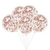 SET DE GLOBOS CON CONFETTI - comprar online