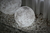 Luminária de Chão Esfera Lua Moon Ø10cm Para Áreas Internas na internet