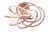 Plafon Moderno Espiral Led Dourado para para Quartos, Hall, Escritório e Lavabos - Sindora • DCX01232 - comprar online
