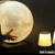 Imagem do Luminária de Chão Esfera Lua Moon Ø10cm Para Áreas Internas