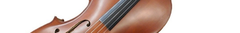 Banner de la categoría Violoncello