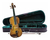 Violin 4/4 Cremona Sv-50 Con Estuche Arco Y Resina