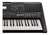 Teclado Yamaha Psre463 61 Teclas + Fuente + Funda - Free Music