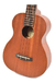 Ukelele Ibanez Ukc10 + Afinador - tienda online