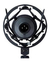 Microfono Condensador Marantz Pro Mpm1000+envio - comprar online