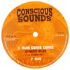 10" Reality Souljahs/Singer Blue - Runaway/Run Come Come [VG+] - comprar online