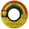7" African Brothers - How Long/Version [NM] - comprar online
