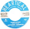 7" Anthony Johnson/Rootsamala - Tribulation/Injustice [NM]