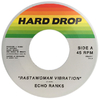 7" Echo Ranks - Rastawoman Vibration/Version [NM]