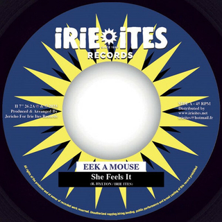 7" Eek A Mouse/Joe Yorke - She Feels It/Time [NM] - comprar online