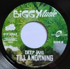 7" Jah9/Deep Jahi - The Marijuana/Till A Morning [NM] - comprar online