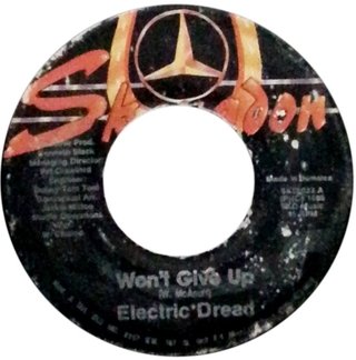 7" Winston McAnuff (Electric Dread) - Won't Give Up/Version (Original Press) [VG+]