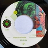 7" Green Lion Crew ft. Lee Perry & Yaadcore - Green Brain/Emperor of Dub [NM] - comprar online