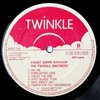 LP Twinkle Brothers - Chant Down Babylon (Original Press) [VG+] - Subcultura