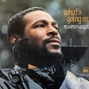 LP Marvin Gaye - What's Going On (180g, Capa Dupla) [M]