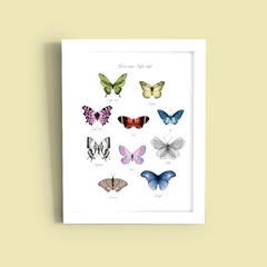 Quadro Butterfly Eras (Taylor Swift) - comprar online