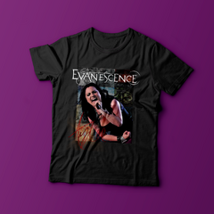 Camiseta Discografia (Evanescence)