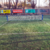 Cancha de fútbol tenis 3mts con Base + cintas demarcación - Sportable