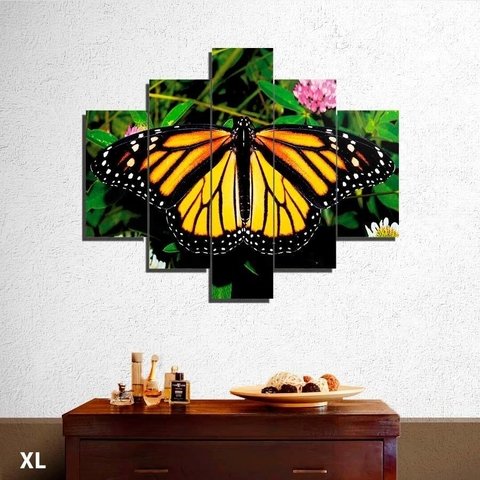 Mariposa Monarca cuadros decorativos