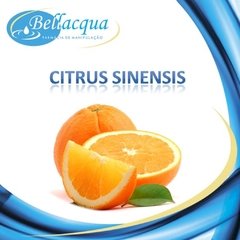 Citrus Sinensis