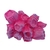 Enfeite para Aquário Coral R113 de resina fluorescente - comprar online