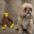 Brinquedo para Cães Macaco Plush 40 cm Pelúcia Sonoro - Pet Shop Online MF Aquarium - Produtos para Aquários e Pet