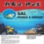 Sal Marinho Ace Pet Peixes e Corais - comprar online