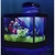 Aquário Beteira Decorada Com Luminária Led AquaBetta 3,8 lts - Pet Shop Online MF Aquarium - Produtos para Aquários e Pet