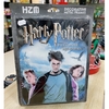 QUADRO DE METAL DECORATIVO MÉDIO - Harry Potter