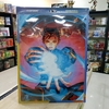 QUADRO DE METAL DECORATIVO GRANDE - CHUN LI