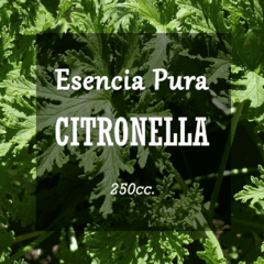 Esencia Pura «Citronella» x250cc.