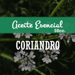 Aceite Esencial «Coriandro» x50cc.