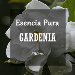 Esencia Pura «Gardenia» x250cc.