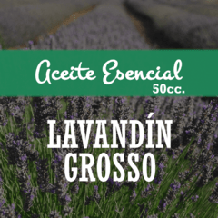 Aceite Esencial «Lavandín Grosso» x50cc.