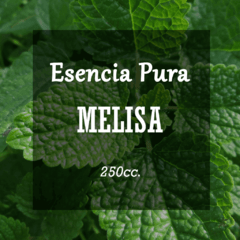 Esencia Pura «Melisa» x250cc.