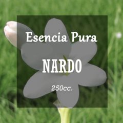Esencia Pura «Nardo» x250cc.