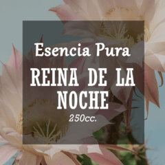 Esencia Pura «Reina de la Noche» x250cc.