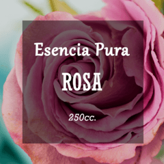 Esencia Pura «Rosa Flor» x250cc.