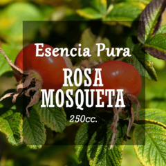 Esencia Pura «Rosa Mosqueta» x250cc.