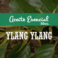 Aceite Esencial «Ylang Ylang» x50cc.
