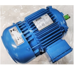 Motor Elétrico Trifásico 2 CV 4 Pólos IP55 B3D 4T IR3 - comprar online